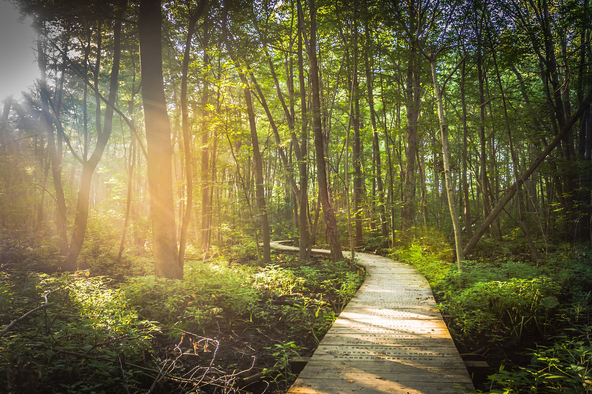 boardwalk-801723_1920